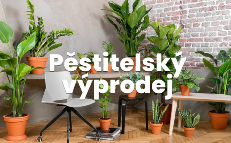 Pěstitelský výprodej