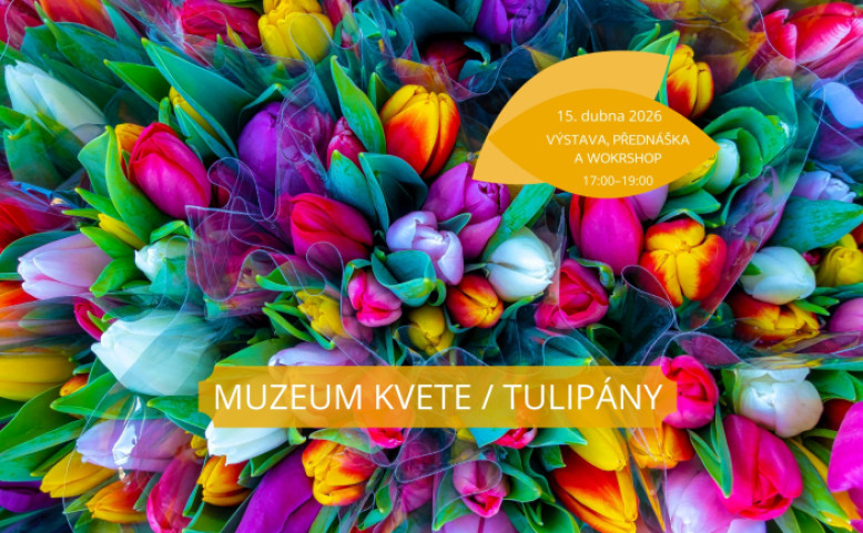 Muzeum kvete / Tulipány