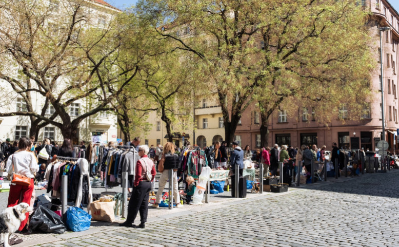 Dubnový blešák na Heřmaňáku