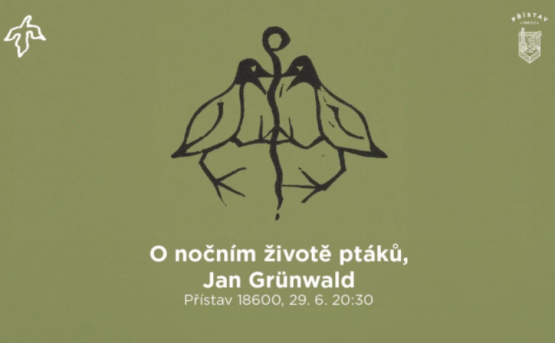O nočním životě ptáků s Janem Grünwaldem 