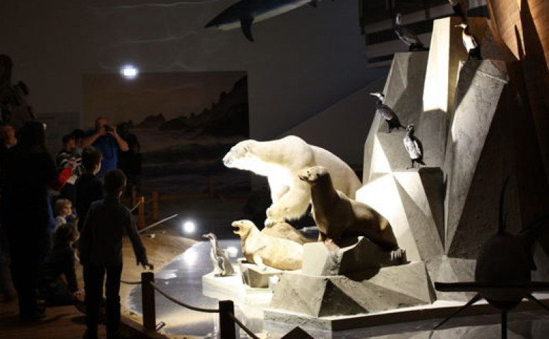 Noc v muzeu: Noční prohlídky expozice Archa Noemova