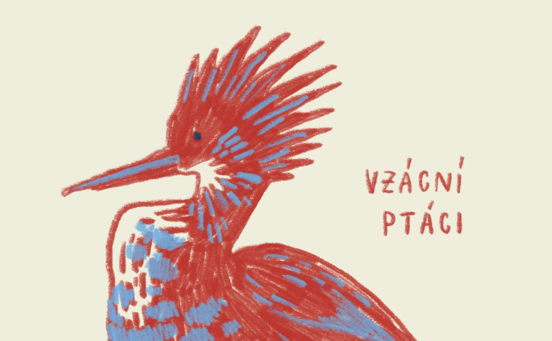 Vzácní ptáci –⁠⁠⁠⁠⁠⁠ Ateliérovka pro děti