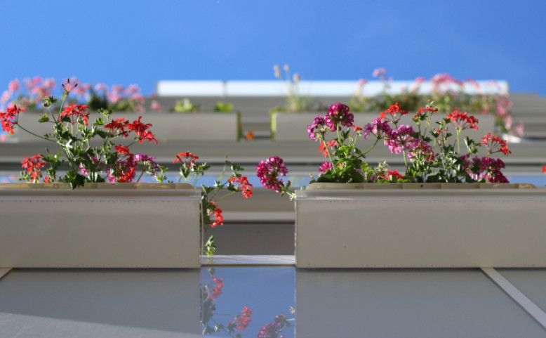 Máte balkón? A mohla bych ho vidět? 