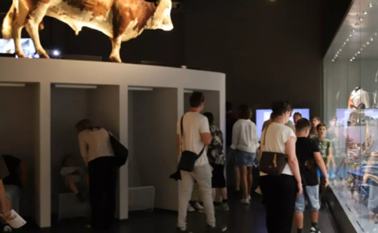 Mezinárodní den muzeí