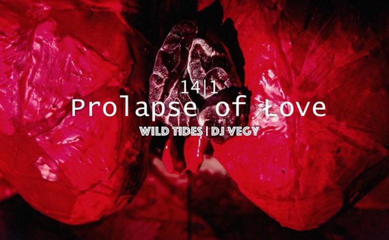 Prolapse of Love GRAND OPENING PARTY [Wild Tides, DJ Vegy]