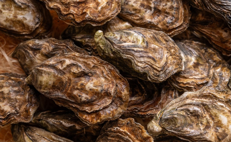 ÚSTŘICE 1+1 ZDARMA V LA GARE