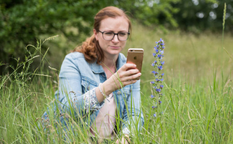 City Nature Challenge 2025