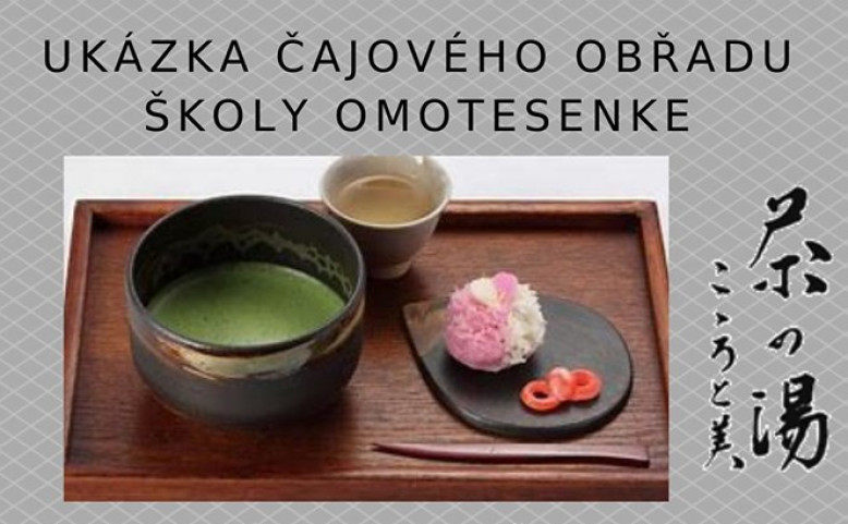 Ukázka čajového obřadu a ochutnávka čaje školy Omotesenke