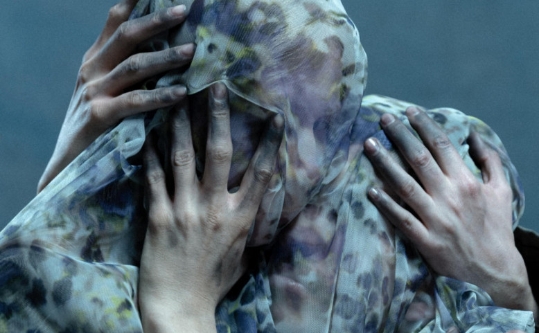 Prokletí domu Mannových