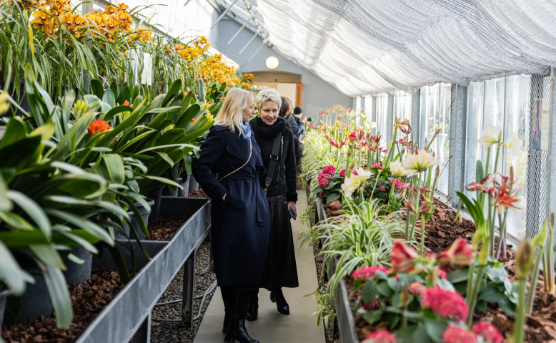 Předjaří: Zahrada malých gest