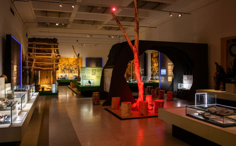 Komentované prohlídky výstavy E. Štorcha