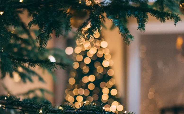 Rozsvícení 25 vánočních stromků