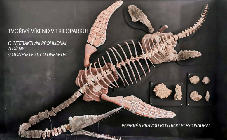 Dinosauří dílny s novou kostrou Plesiosaura