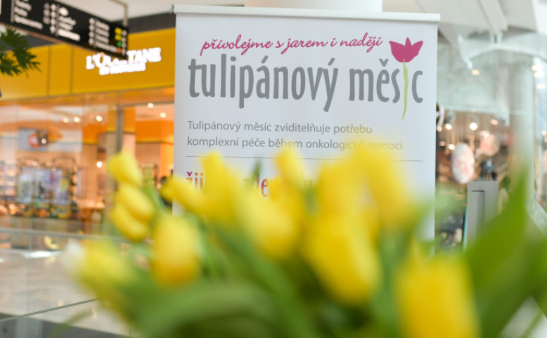 Kupte si tulipán a přispějte na dobrou věc
