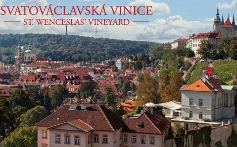 Svatováclavské vinobraní