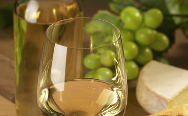 Vinohradské vinobraní 2015