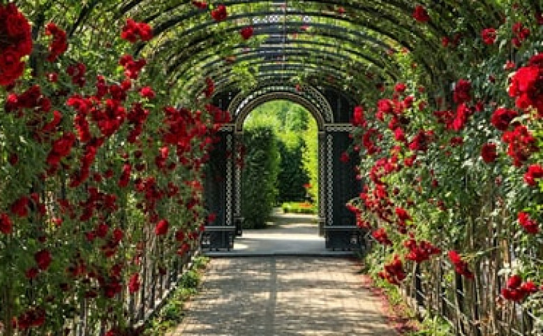 Přednáška Italské zahrady humanismu a renesance