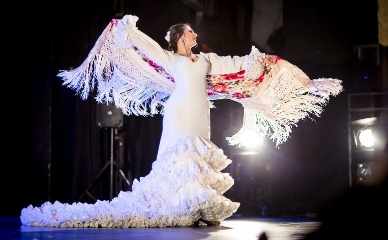 Flamenco De Sofa