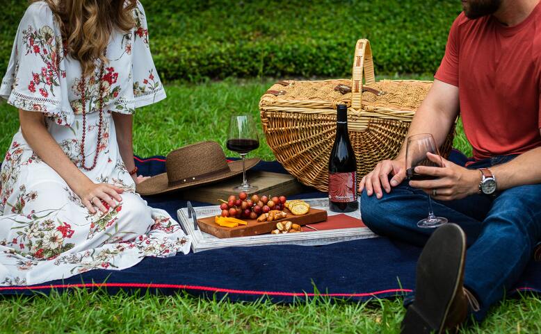 Letní piknik party