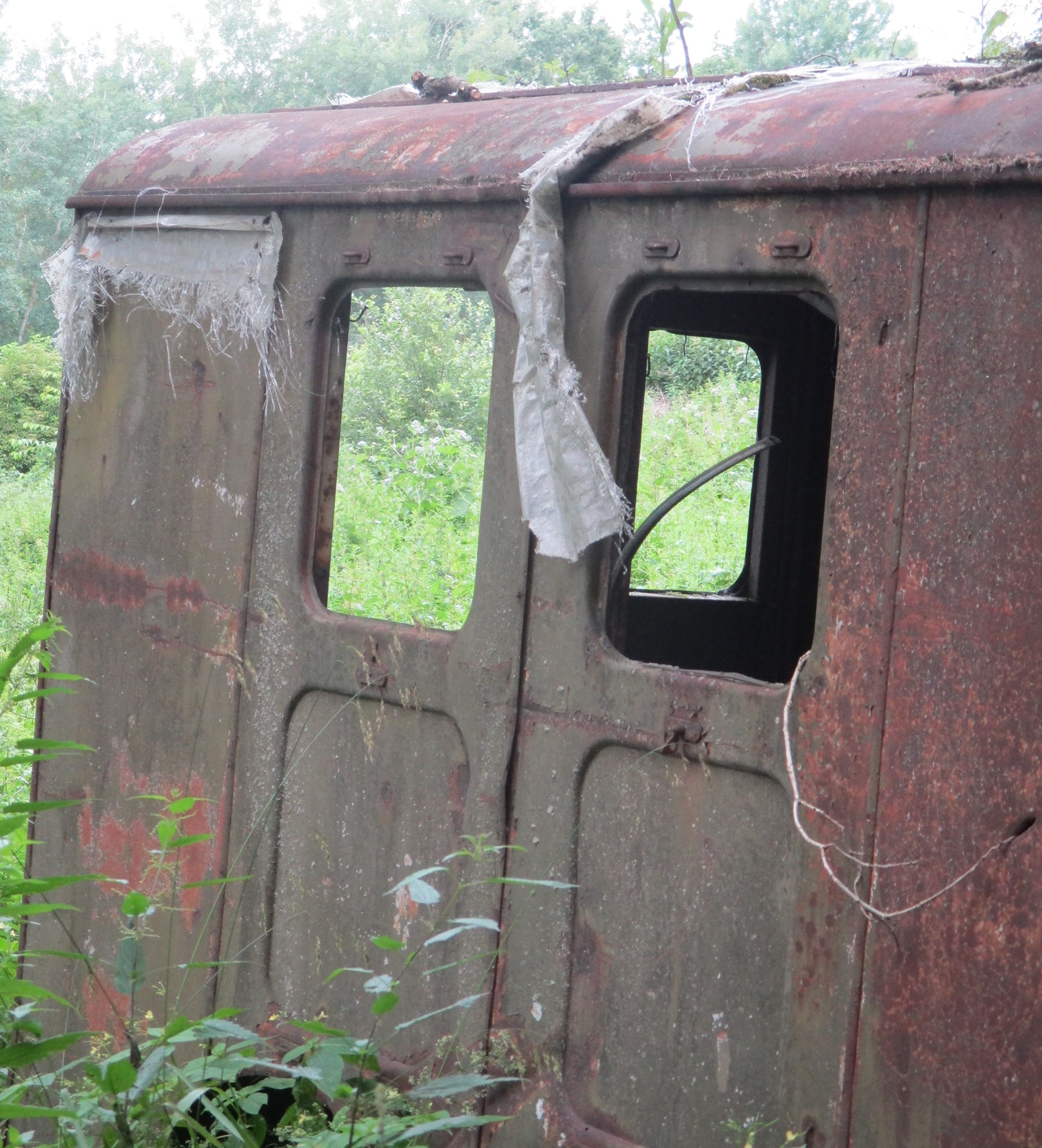 Křik rzi: zkorodovaná výstava s hudbou a četbou - online