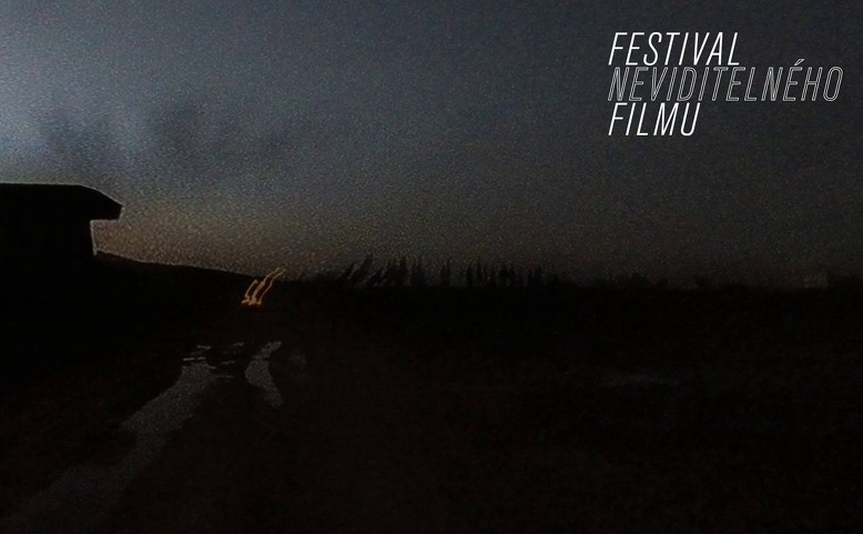Festival neviditelného filmu: Pásmo filmů Pohyby vidění - online