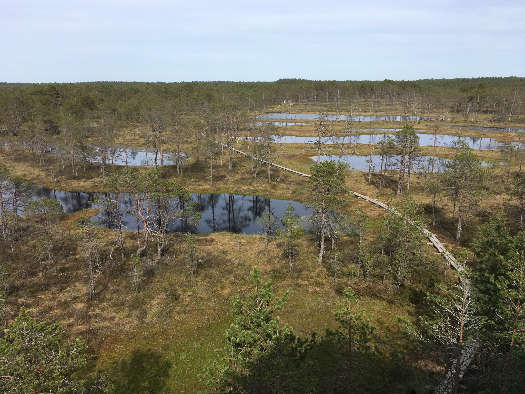 Pobaltí a Petrohrad – online cestovatelská přednáška