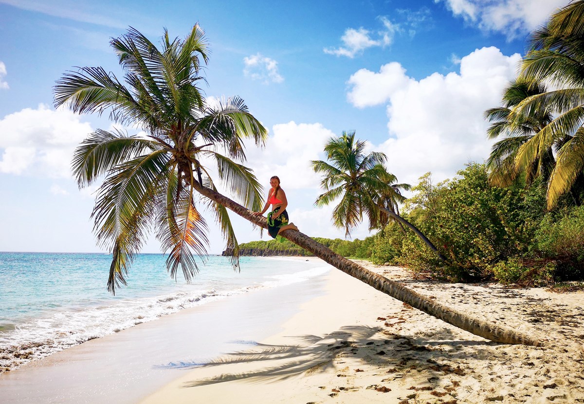 ONLINE: EU v Karibiku – s občankou za oceán