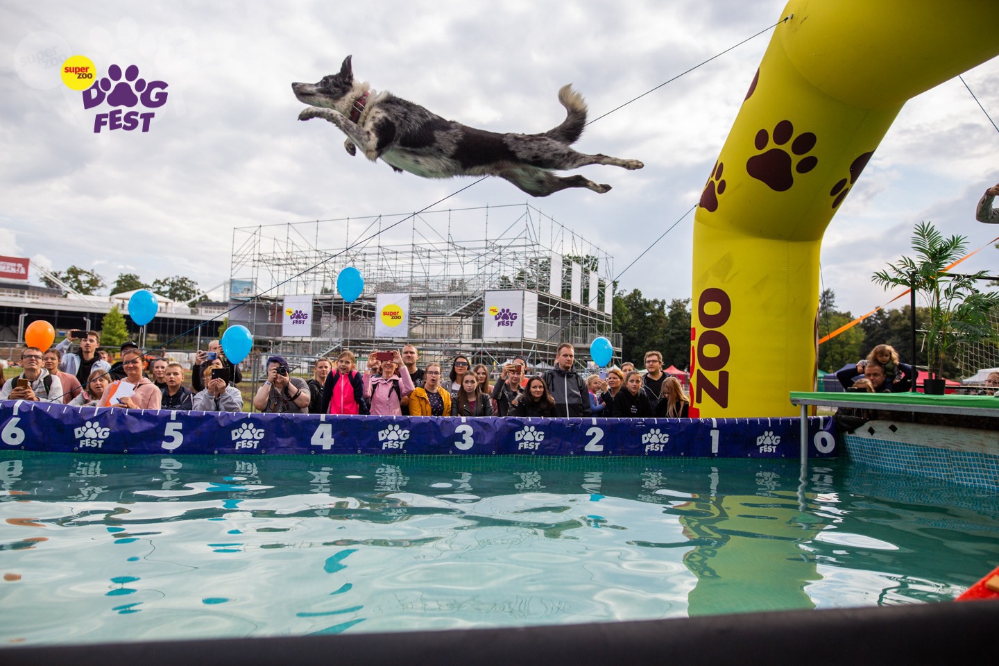 DogFest 2022 - největší psí festival