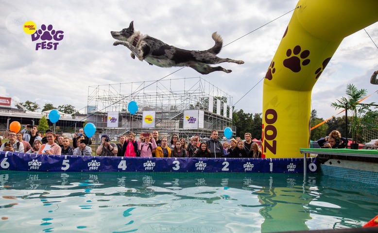 DogFest 2022 - největší psí festival