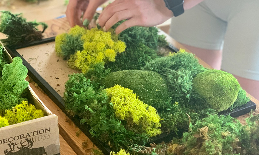 Workshop Mechový obraz