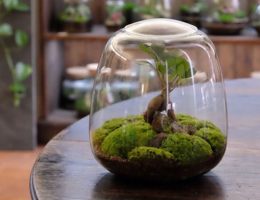 Workshop Vytvoř si mechárium