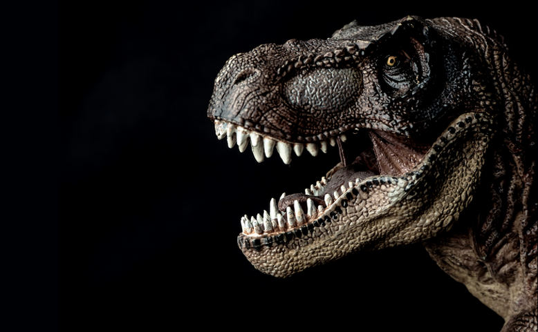 Dino Expo & Show 2023