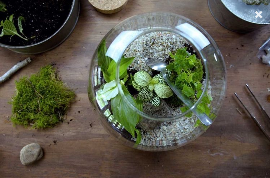 Vytvoř si svoje mechárium Hobit