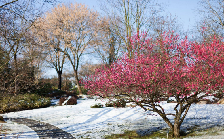 Do botanické zahrady za 1 Kč