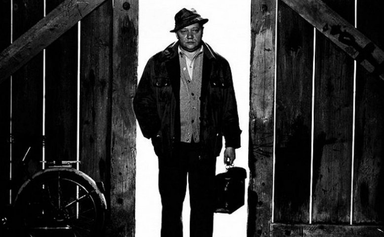 Dým bramborové natě