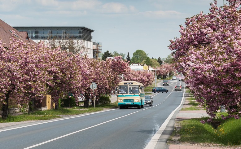 Autobusový den PID