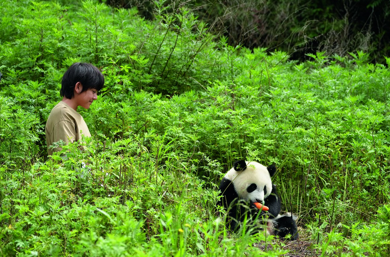 Rodinné představení: Panda a já