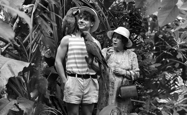 Ptáci, zvířata a moji příbuzní