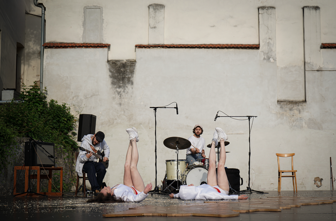 Martina Hajdyla, E. Brtnická, J. Stárková: TREMULA