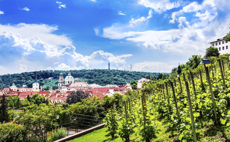 Pražské vinice
