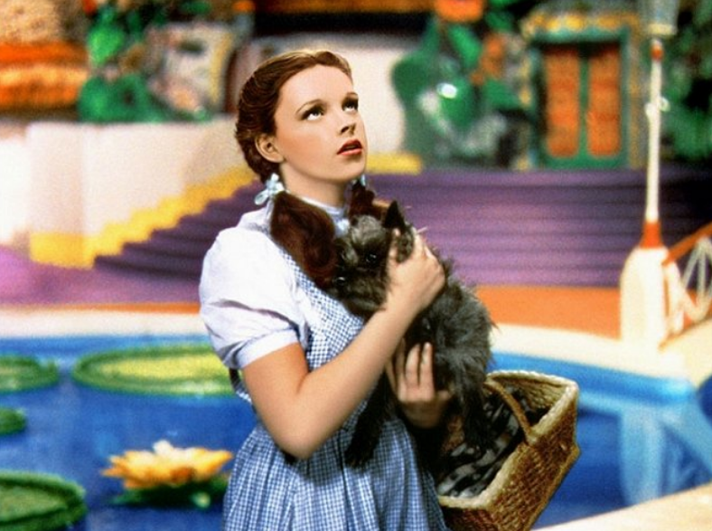 Letní kino: Čaroděj ze země Oz