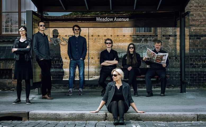 Meadow Avenue - koncert