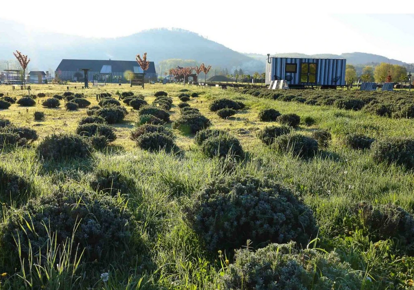 Oslava 10. narozenin časopisu Kreativ