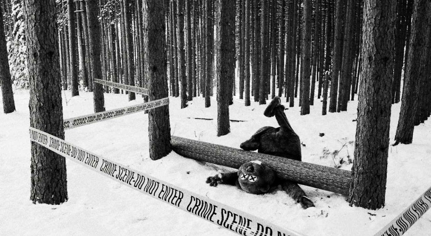 Letní kino: Stovky bobrů