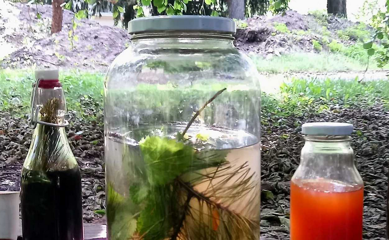 Lenka Kubelová: Libeňský terroir