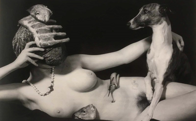 Joel-Peter Witkin: Rozbitý svět