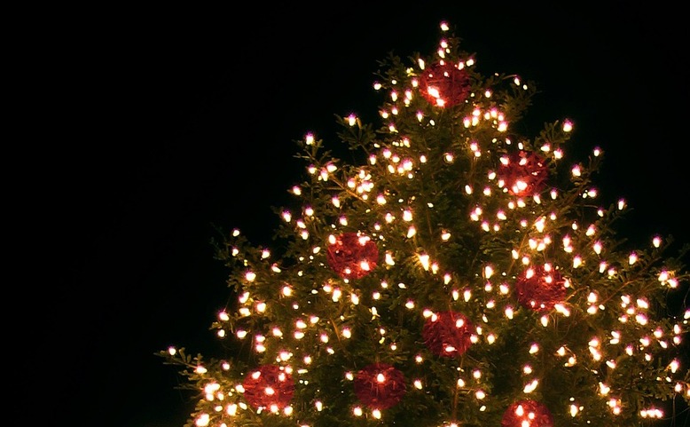 Rozsvícení vánočních stromků po Praze 10