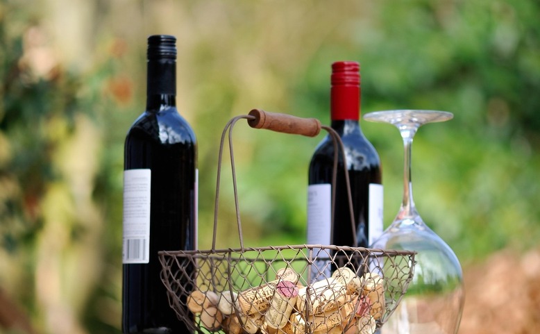 Kajetánka Fest vol.2