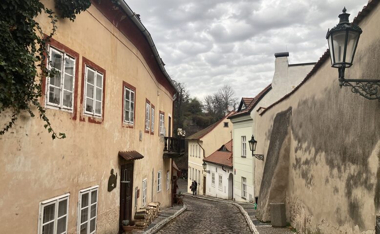 Vánoční vycházka po Novém Světě - procházka