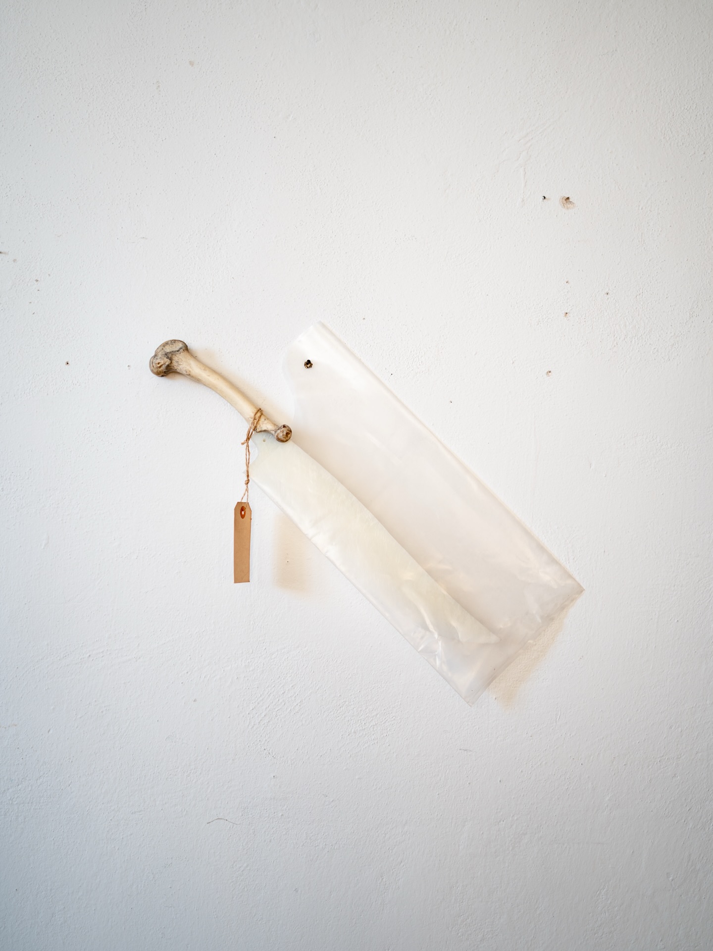 František Skála: Odložený případ